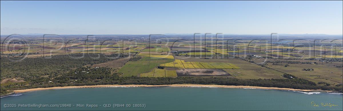 Peter Bellingham Photography Mon Repos - QLD (PBH4 00 18053)
